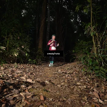 Runner Photo 5770756