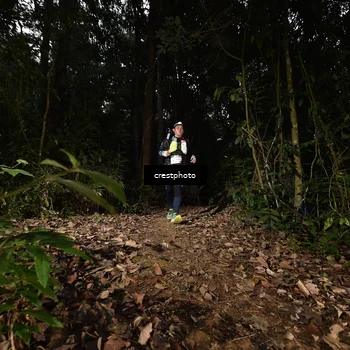 Runner Photo 5770762