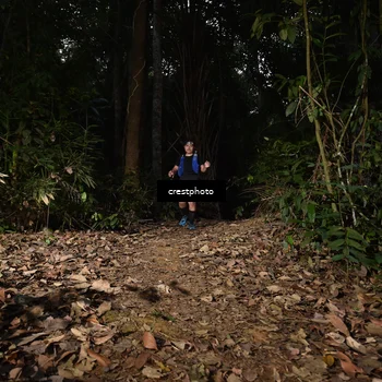 Runner Photo 5770764