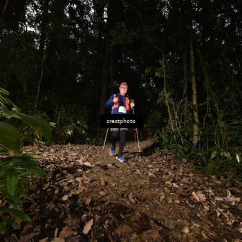 Runner Photo 5770797