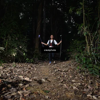 Runner Photo 5770807