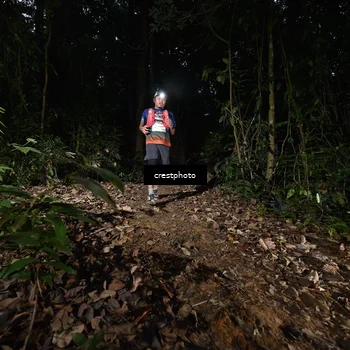 Runner Photo 5770859