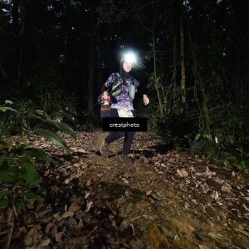 Runner Photo 5770860