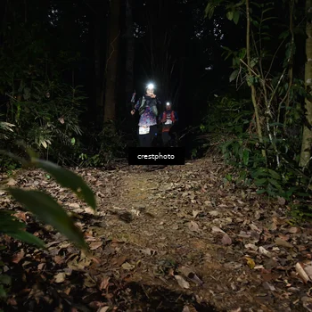 Runner Photo 5770871