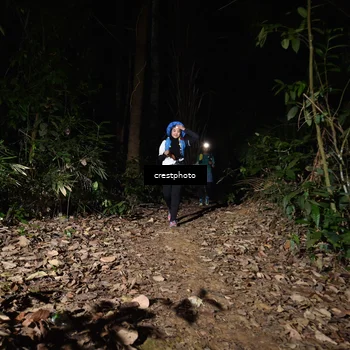 Runner Photo 5770891