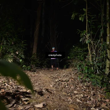 Runner Photo 5770909