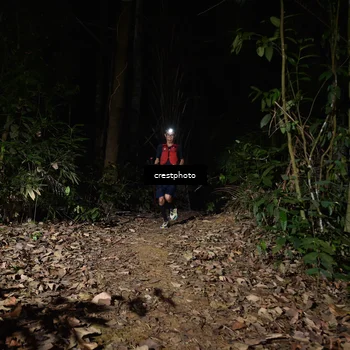 Runner Photo 5770934