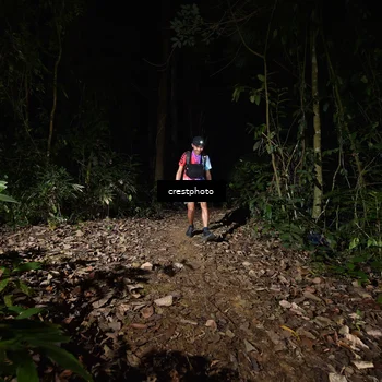 Runner Photo 5770984
