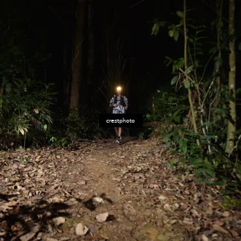 Runner Photo 5771004