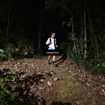 Runner Photo 5771026