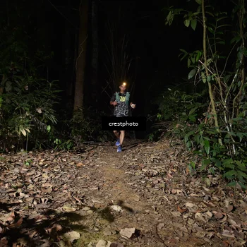 Runner Photo 5771040
