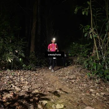 Runner Photo 5771056
