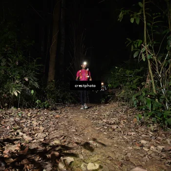 Runner Photo 5771057