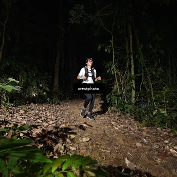 Runner Photo 5771081