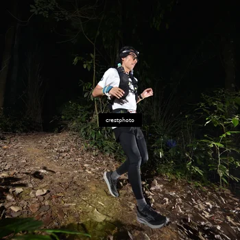 Runner Photo 5771087