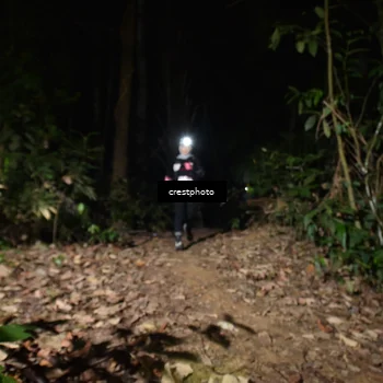 Runner Photo 5771096