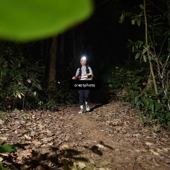 Runner Photo 5771099