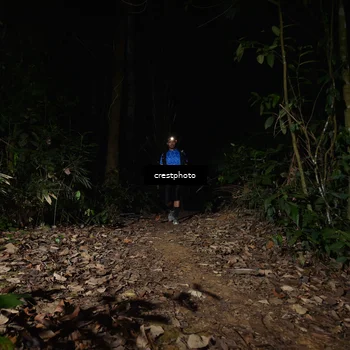 Runner Photo 5771121