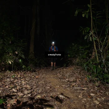 Runner Photo 5771151