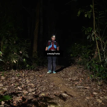 Runner Photo 5771158