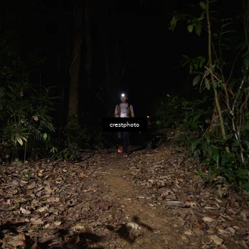 Runner Photo 5771162