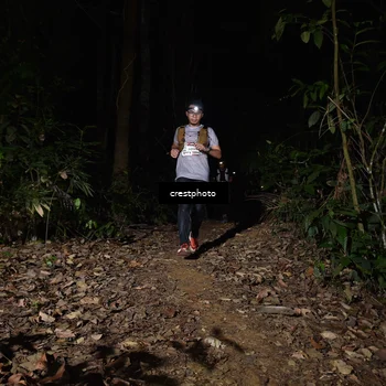 Runner Photo 5771163