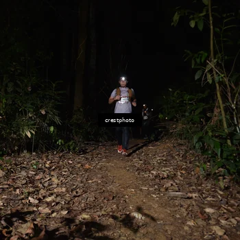 Runner Photo 5771165