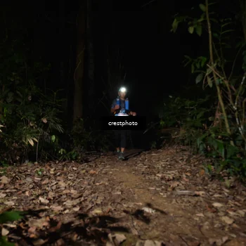 Runner Photo 5771173