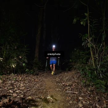 Runner Photo 5771184