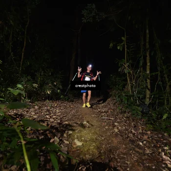 Runner Photo 5771198