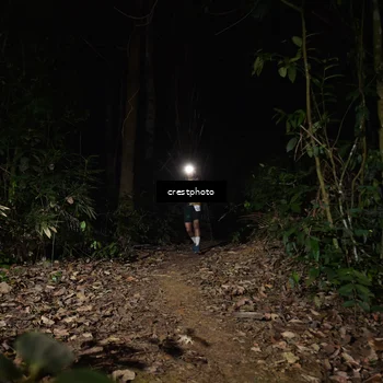 Runner Photo 5771235