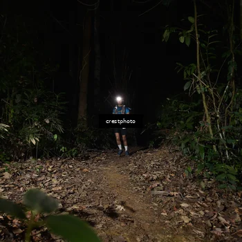 Runner Photo 5771236