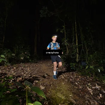 Runner Photo 5771238