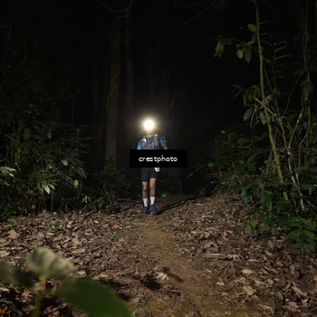 Runner Photo 5771239