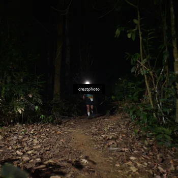 Runner Photo 5771241