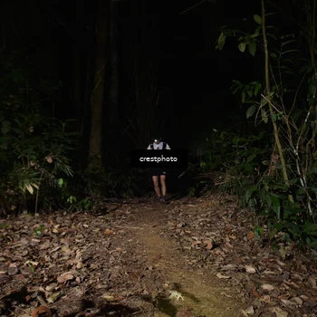 Runner Photo 5771243