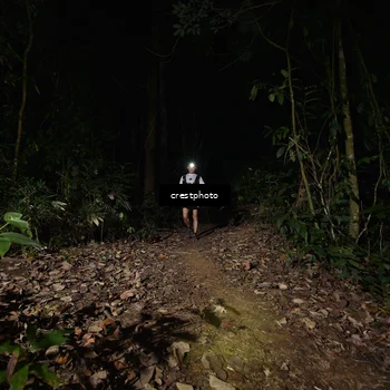 Runner Photo 5771244