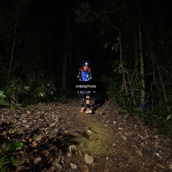 Runner Photo 5771246