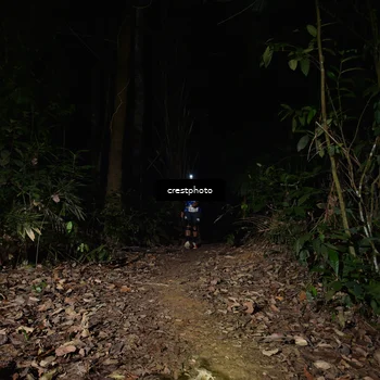 Runner Photo 5771250