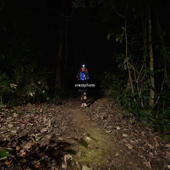 Runner Photo 5771252