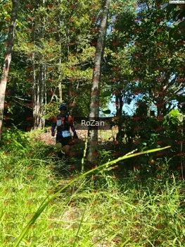 Runner Photo 5778