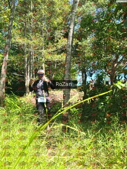 Runner Photo 5782