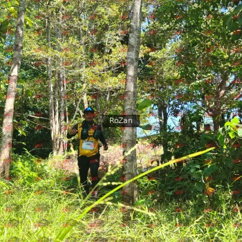 Runner Photo 5792