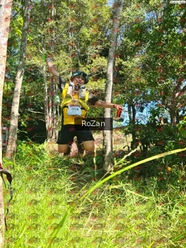Runner Photo 5803