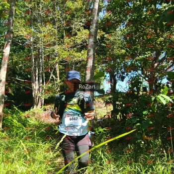 Runner Photo 5810