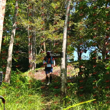 Runner Photo 5819