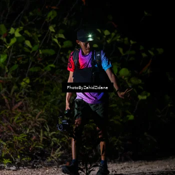 Runner Photo 5823761