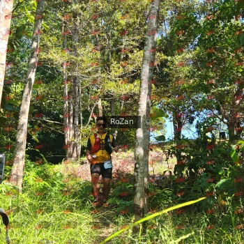 Runner Photo 5826