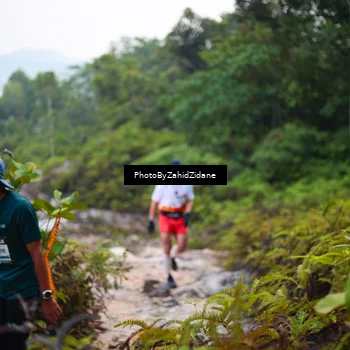 Runner Photo 5829977