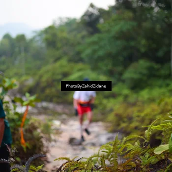 Runner Photo 5829980